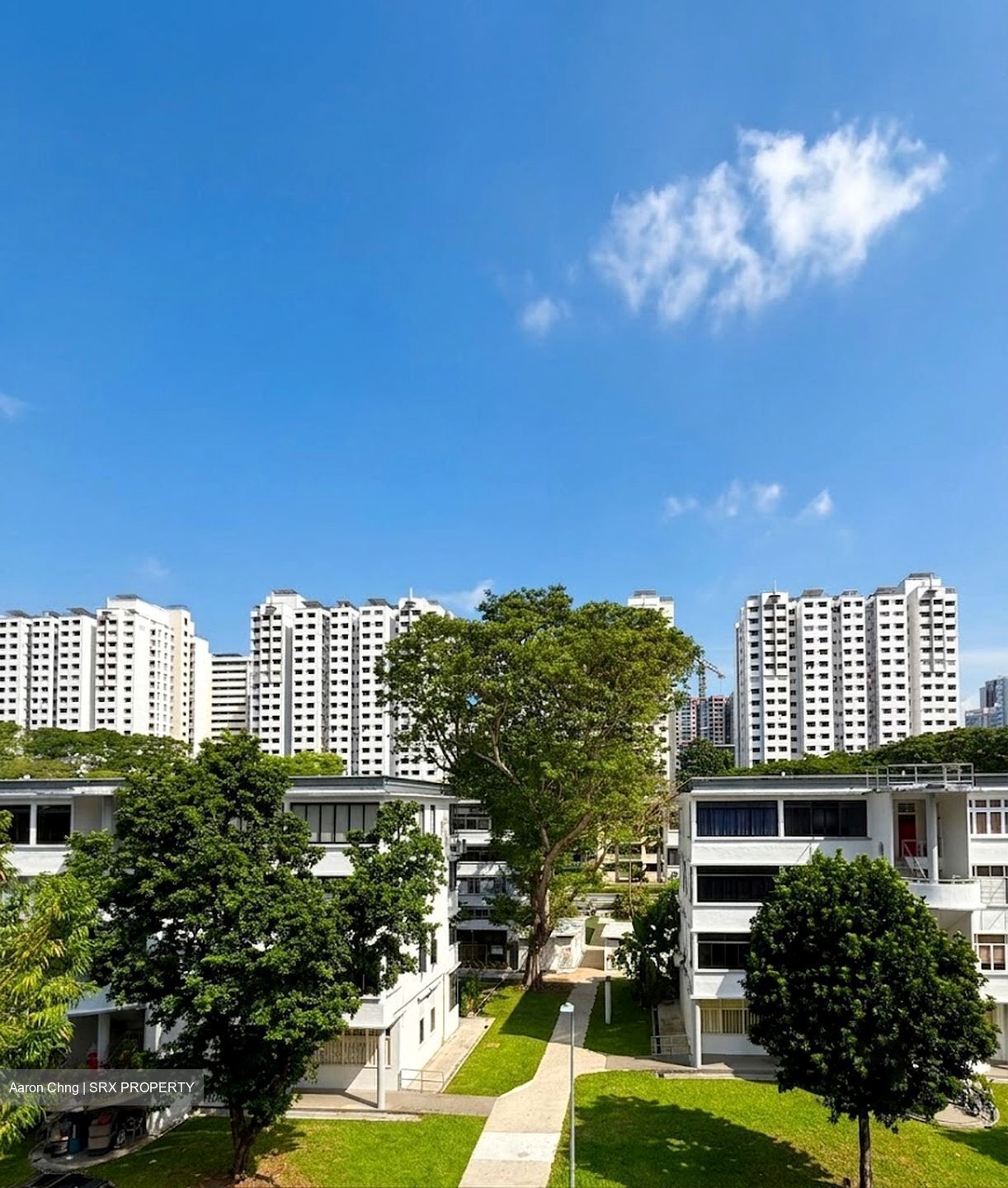 Blk 33 Lim Liak Street (Bukit Merah), HDB 3 Rooms #575056701